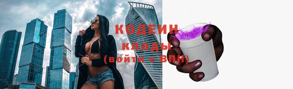 твердый Няндома
