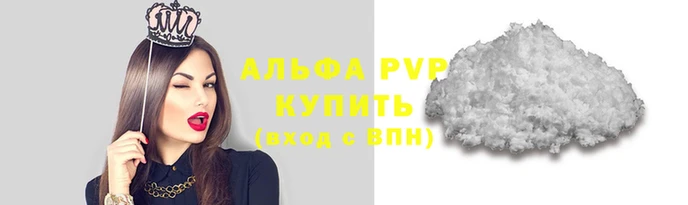 индика Новокубанск
