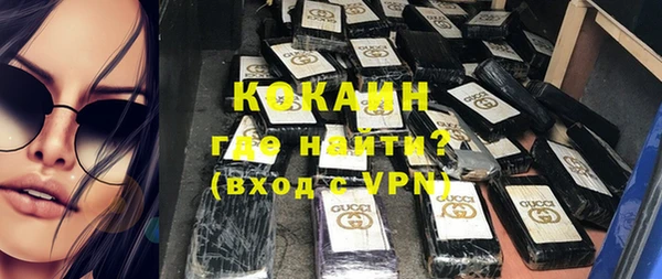 индика Новокубанск