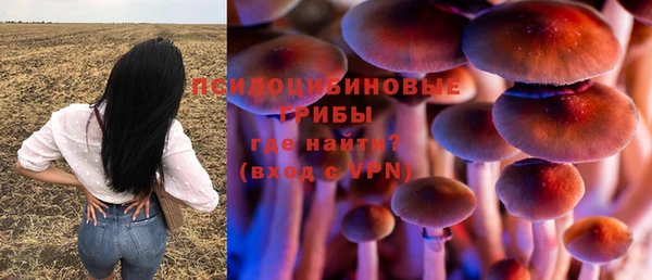 PSILOCYBIN Новодвинск