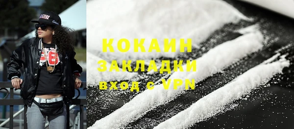 индика Новокубанск