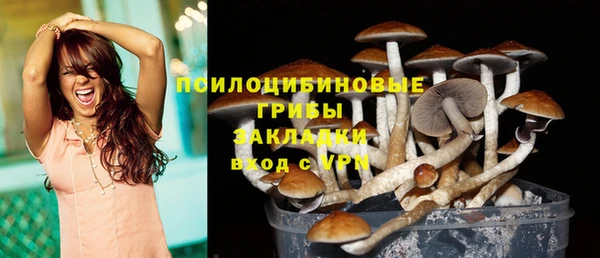 Альфа ПВП Нягань