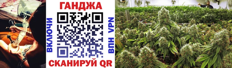 Каннабис конопля Красный Холм